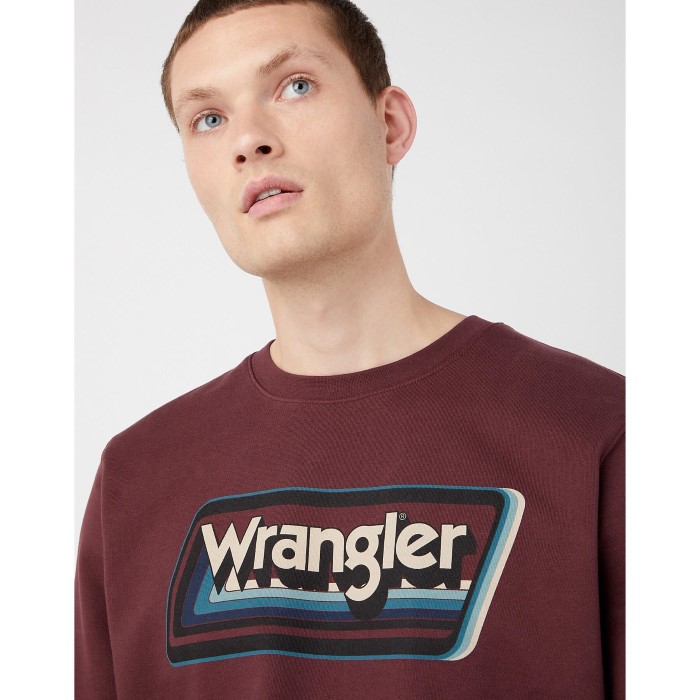 wrangler_112341238_3.jpg