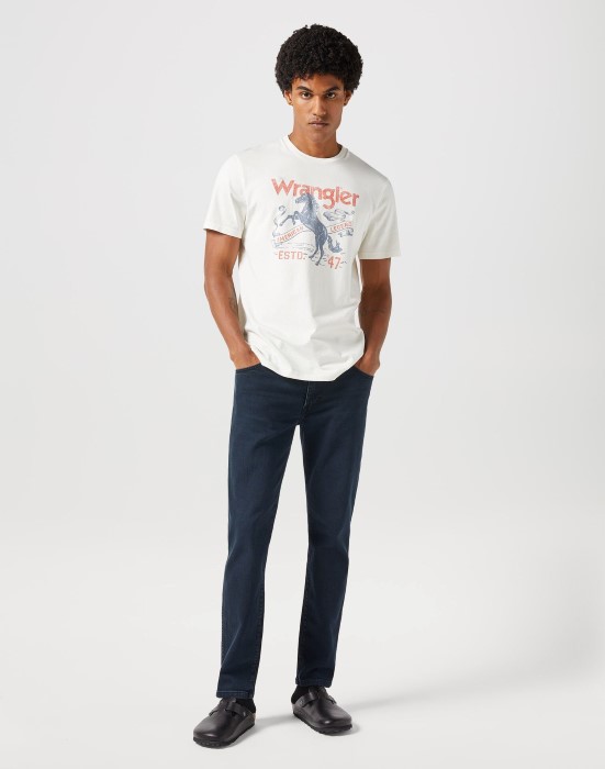 112350840_2-jpg-lowres-digital