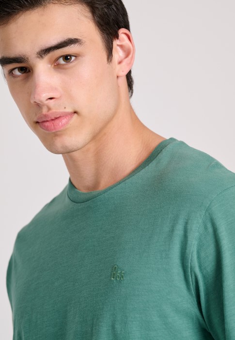 GAM009-501-04_PALM LEAF_4