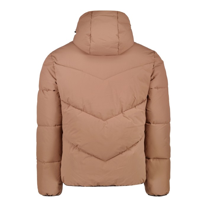 63964-COPELEY-BROWN-2